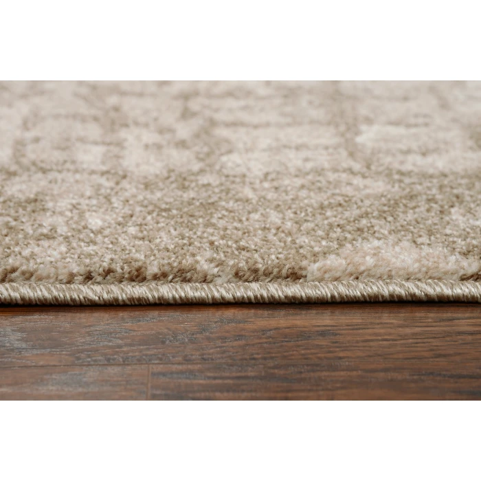 Rizzy Valencia Area Rug VCA102 3'11" x 5'6" Beige