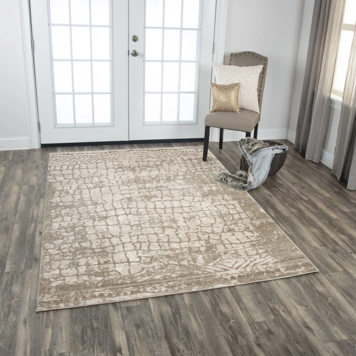 Rizzy Valencia Area Rug VCA102 3'11" x 5'6" Beige