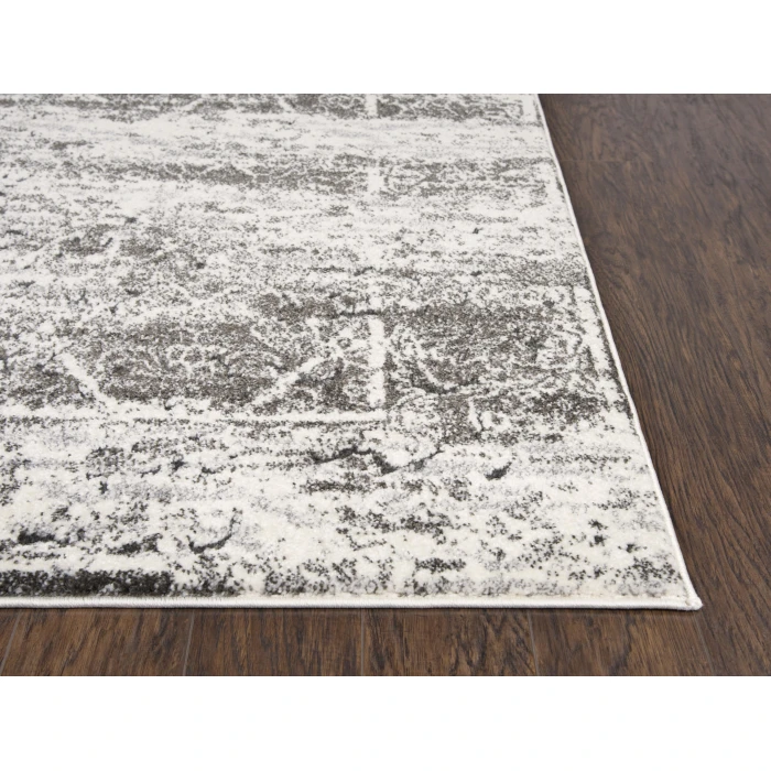 Rizzy Valencia Area Rug VCA103 3'11" x 5'6" Ivory 