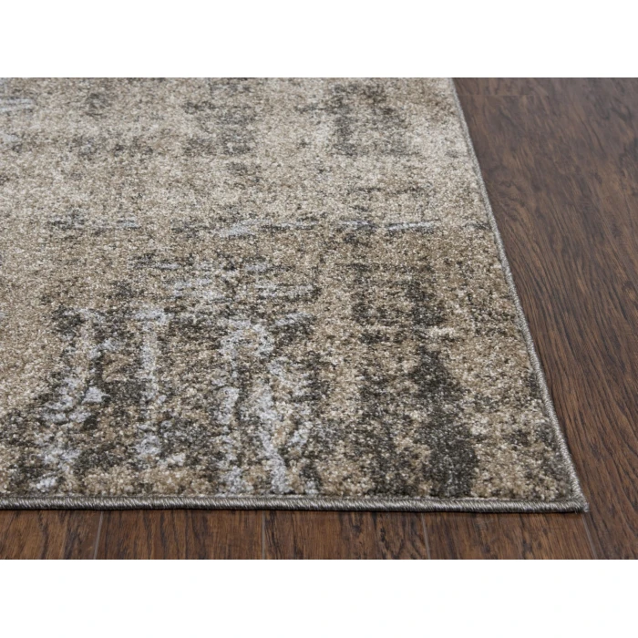 Rizzy Valencia Area Rug VCA107 6'7" x 9'6" Beige