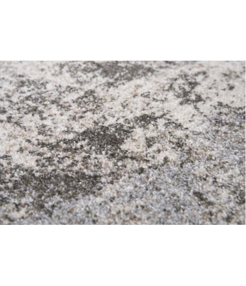 Rizzy Valencia Area Rug VCA109 3'11" x 5'6" Silver