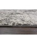 Rizzy Valencia Area Rug VCA109 3'11" x 5'6" Silver