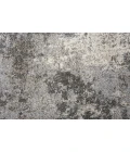 Rizzy Valencia Area Rug VCA109 3'11" x 5'6" Silver