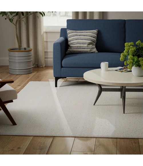 Rizzy Home Aspen Ivory ASP202 5 ft. X 7 ft. 6 in. Rect. Rug