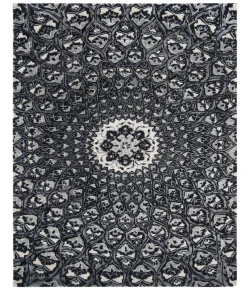 Safavieh Allure ALR419 Ivory / Black 4' X 6' Rectangle Area Rug