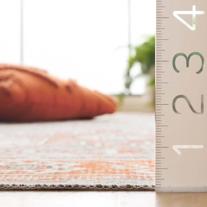 Safavieh Arizona ARZ199 Rust / Sage 8' X 10' Rectangle Area Rug
