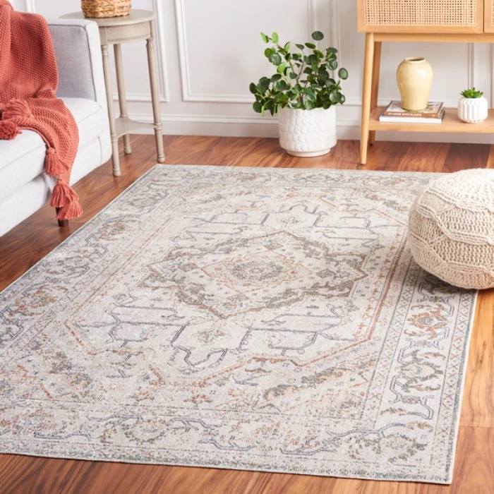 Safavieh Baltimore BAL854 Light Grey / Rust 9' X 12' Rectangle Area Rug