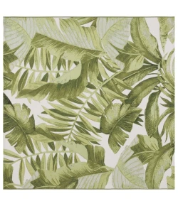 Safavieh Barbados BAR598 Ivory / Green 6'-6" x 6'-6"Square Square Area Rug