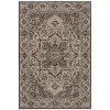 Safavieh Beach House BHS139 Creme / Brown 3' X 5' Rectangle Area Rug