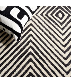 Safavieh Ebony Black / Ivory EBN150 5 ft. X 8 ft. Rectangle Rug