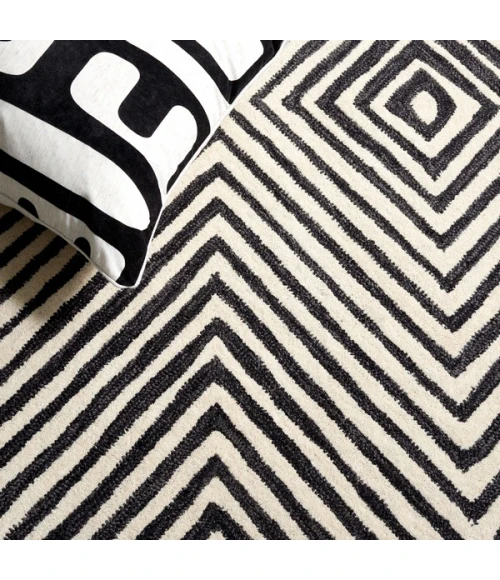 Safavieh Ebony Black / Ivory EBN150 5 ft. X 8 ft. Rectangle Rug