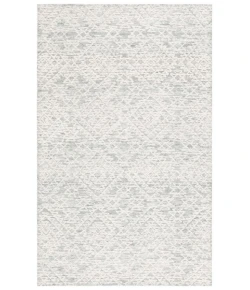 Safavieh Ebony Ivory / Grey EBN303 6 ft. X 9 ft. Rectangle Rug