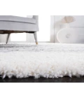 Safavieh Fontana Shag  Grey / Ivory FNT896 4 ft. X 6 ft. Rectangle Rug