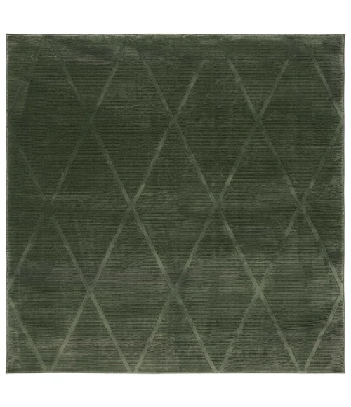 Safavieh Revive Green REV104 6 ft. 7 in. X 6 ft. 7 in. Square Rug