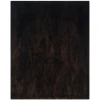 Safavieh Shag Chocolate SG511 5 ft. X 5 ft. Square Rug