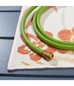 Safavieh Sunrise Ivory / Rust Sage SUN675 8 ft. X 10 ft. Rectangle Rug