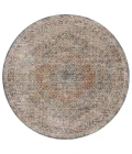 Safavieh Silverado Blue / Rust SVD106 6 ft. 4 in. X 6 ft. 4 in. Round Rug