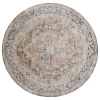 Safavieh Silverado Sage / Blue SVD110 6 ft. 4 in. X 6 ft. 4 in. Round Rug