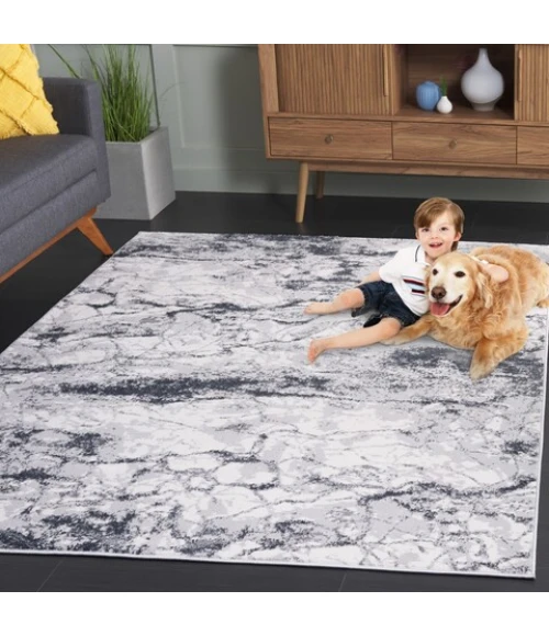 Safavieh Alenia ALN111 Grey / Dark Grey 5'-2" X 7' Rectangle Area Rug