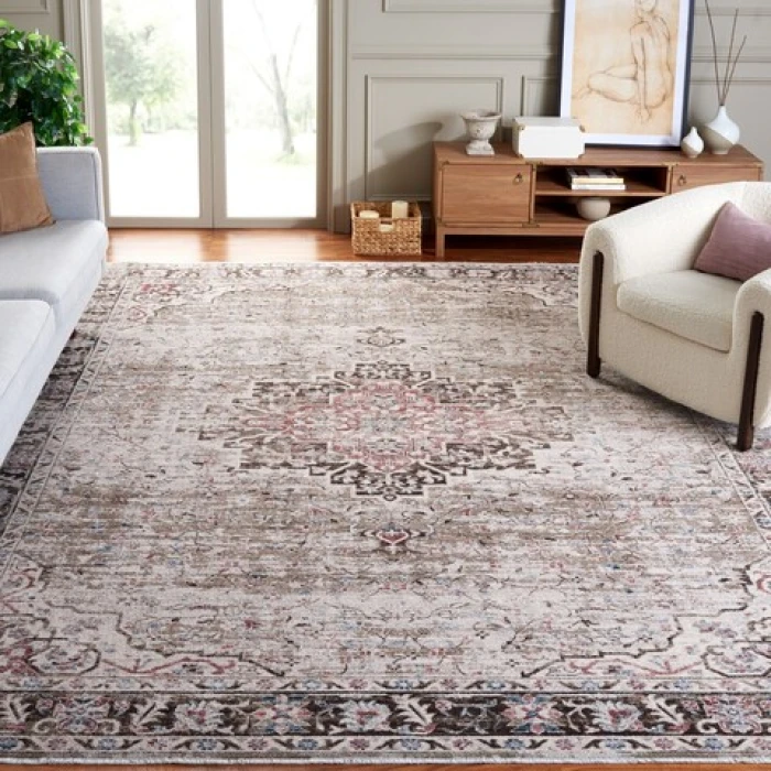 Safavieh Antique Patina ANP642 Beige / Brown 4' X 10' Rectangle Area Rug