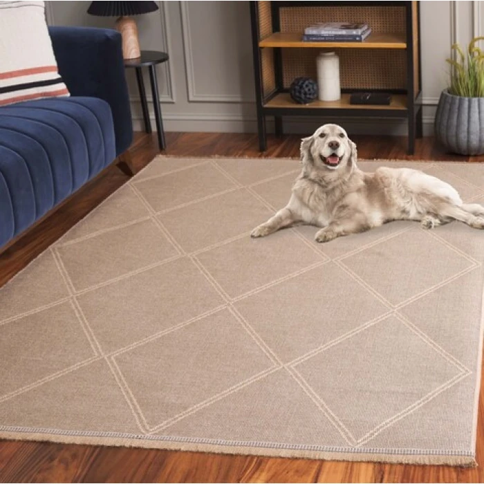 Safavieh Aspect APE406 Natural 4' X 6' Rectangle Area Rug