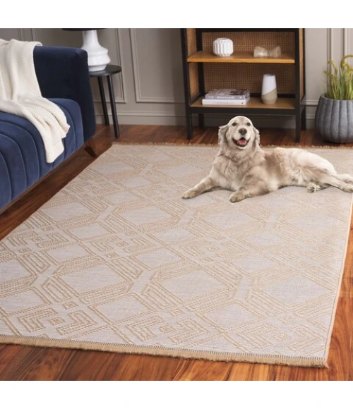 Safavieh Aspect APE456 Ivory / Natural 8'-6" X 12' Rectangle Area Rug
