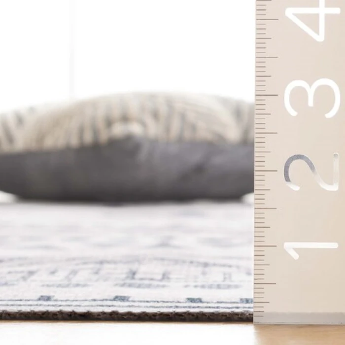 Safavieh Arizona ARZ104 Beige / Charcoal 8' X 10' Rectangle Area Rug