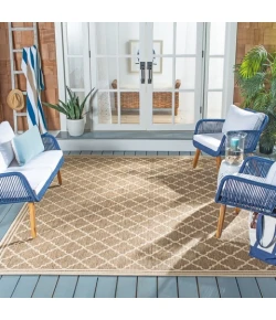 Safavieh Beach House BHS121 Beige / Cream 2'-2" X 4' Accent Area Rug