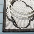 Safavieh Beach House BHS125 Light Grey / Charcoal 4' X 4' Square Area Rug