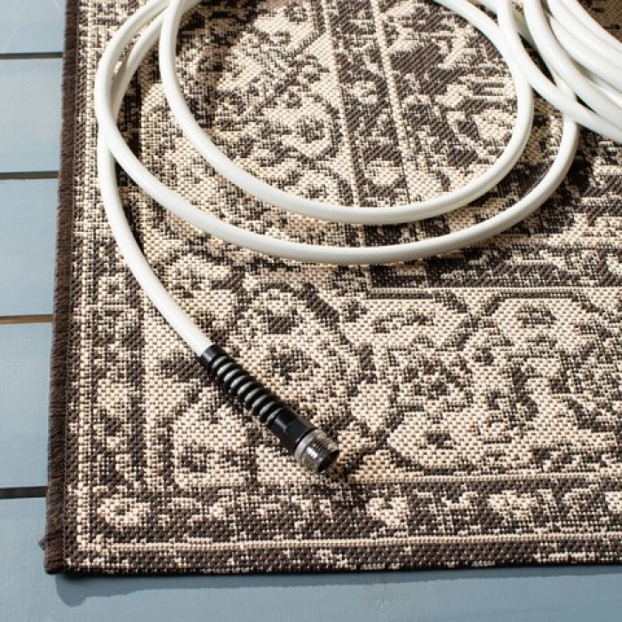 Safavieh Beach House BHS137 Creme / Brown 3' X 5' Rectangle Area Rug