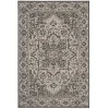 Safavieh Beach House BHS139 Light Grey / Charcoal 3' X 5' Rectangle Area Rug