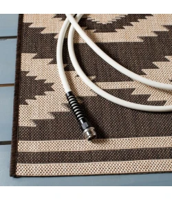 Safavieh Beach House BHS171 Creme / Brown 2'-2" X 4' Accent Area Rug