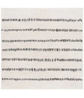 Safavieh Melody Ivory / Black MEL114 6 ft. 7 in. X 6 ft. 7 in. Square Rug