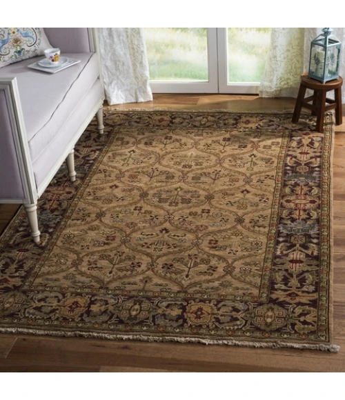 Safavieh Old World Camel OW119 6 ft. X 9 ft. Rectangle Rug