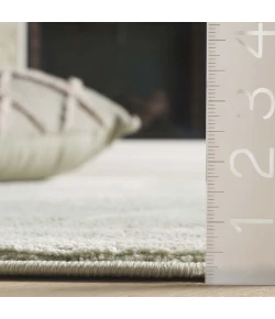 Safavieh Revive Sage REV104 4 ft. X 6 ft. Rectangle Rug