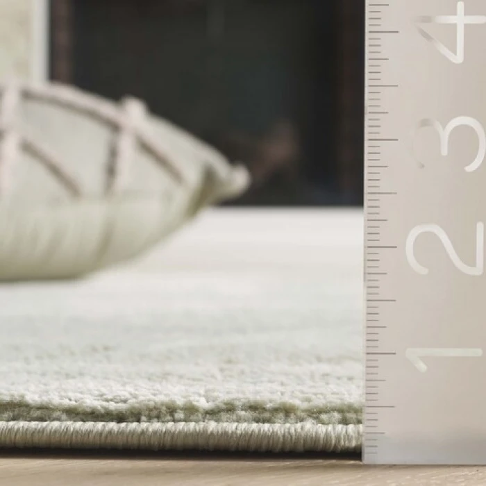 Safavieh Revive Sage REV104 2 ft. 7 in. X 5 ft. Rectangle Rug