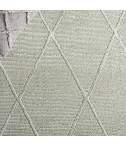 Safavieh Revive Sage REV104 4 ft. X 6 ft. Rectangle Rug