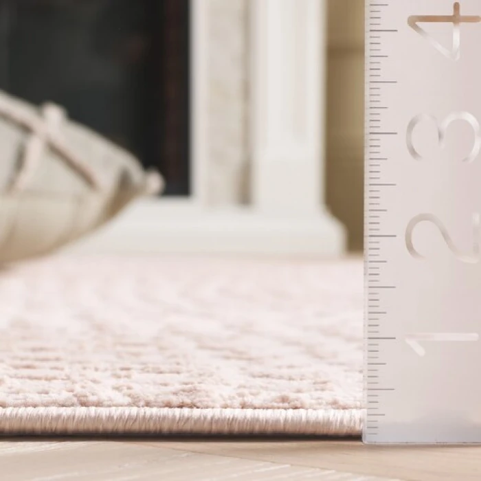 Safavieh Revive Pink REV108 2 ft. 7 in. X 5 ft. Rectangle Rug