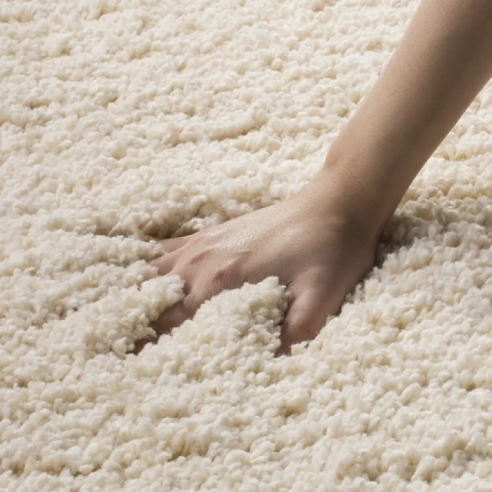 Safavieh California Shag Ivory SG151 2 ft. X 3 ft. Accent Rug