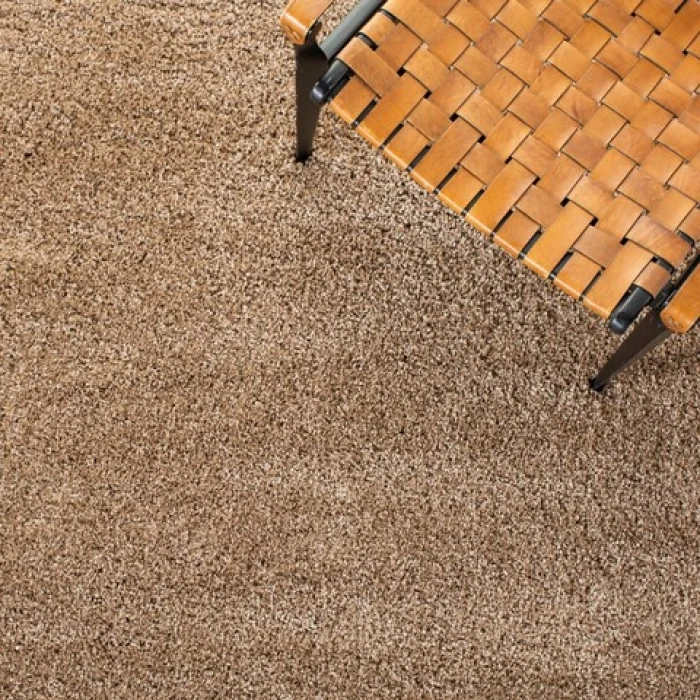 Safavieh Milan Shag Dark Beig SG180 10 ft. X 14 ft. Rectangle Rug