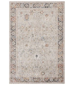 Safavieh Silverado Beige / Rust SVD112 5 ft. X 8 ft. Rectangle Rug