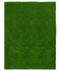 Safavieh Vista Green VST100 7 ft. 9 in. X 10 ft. Rectangle Rug