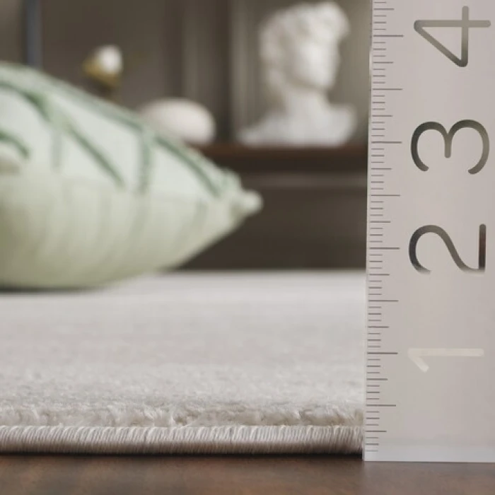Safavieh Whisper Ivory / Taupe WHS810 4 ft. X 6 ft. Rectangle Rug