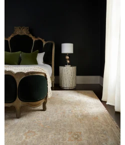 Surya Antalya AAT2301 Charcoal Sage Area Rug 8 ft. X 10 ft. Rectangle