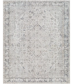 Livabliss Amelie AML-2385 8 ft.10 in. x 12 ft. Rectangle Rug