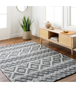 Livabliss Daffodil DFF2300 Charcoal Ivory Area Rug 27 in. X 45 in. Rectangle