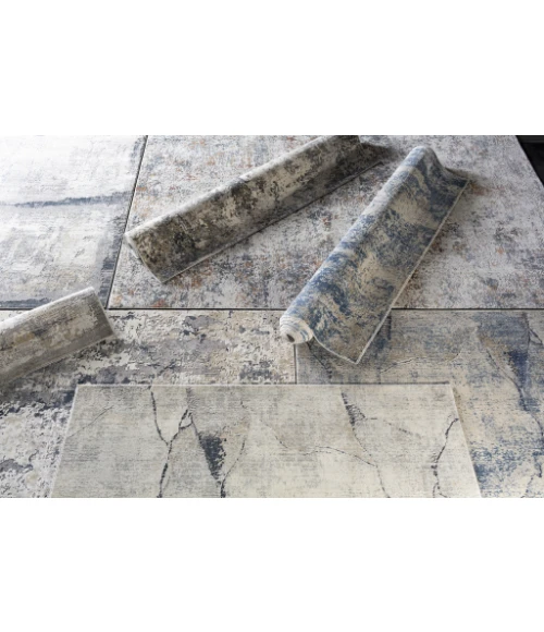 Surya Norland NLD-2300 5  x 7 3 Rug