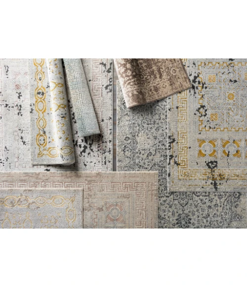 Surya Venezia VNZ-2309 6 7 Square Rug