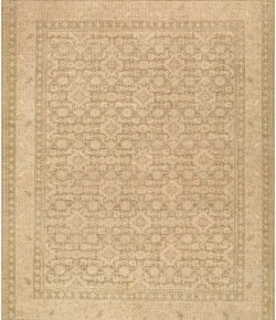 Surya Agra Taupe AAA-2300 2ft. x 3ft. Rect. Rug