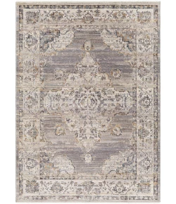 Livabliss Aida AAD2301 Beige Medium Gray Area Rug 8 ft. 10 in. X 13 ft. Rectangle
